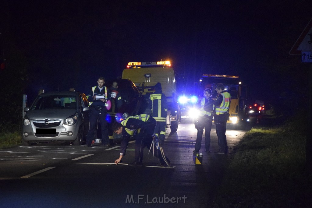 VU Koeln Dellbrueck Kalkweg Duennwalder Mauspfad P04.JPG - Miklos Laubert